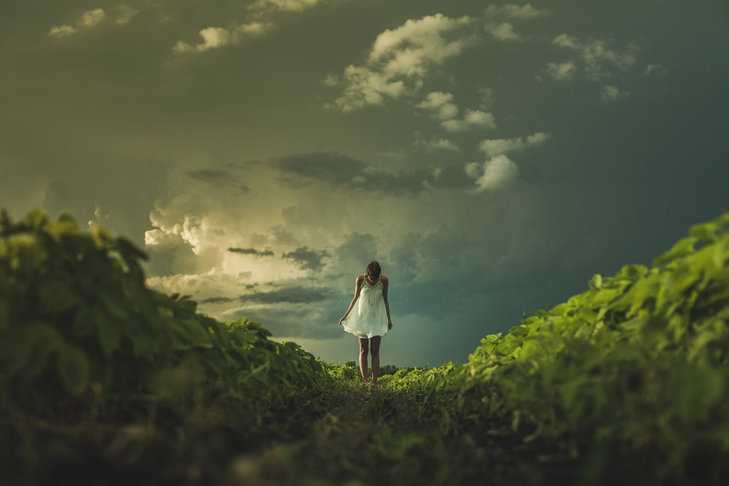 Woman in a white dress looking down with green landscape all around