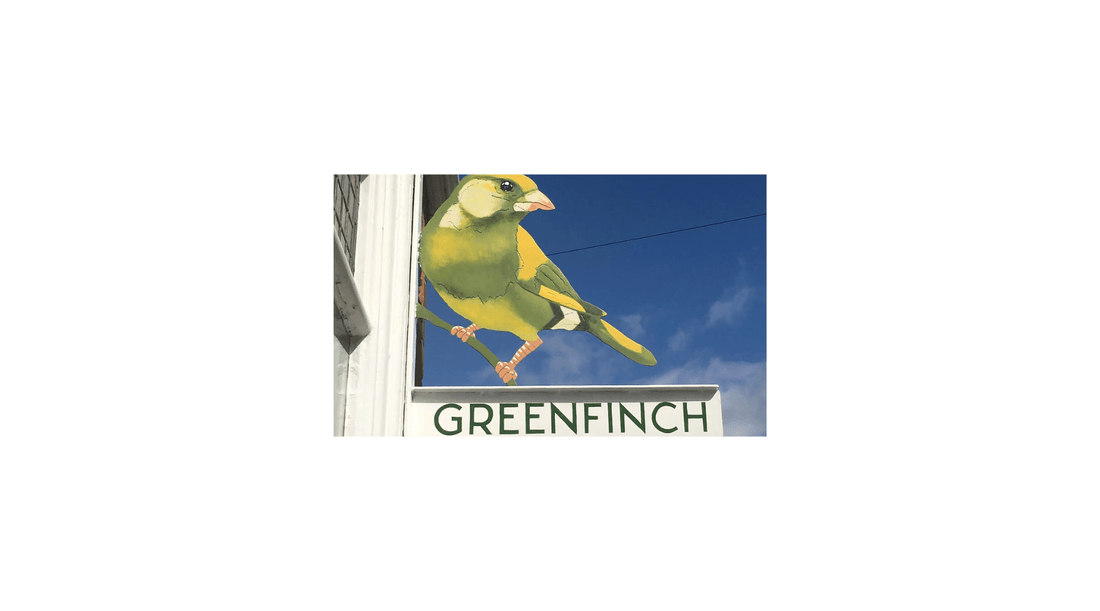 Hanova Studio now stocked in Greenfinch Ticehurst - Hanova Studio